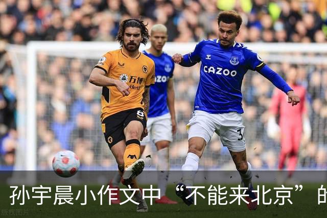 孙宇晨小作文中“不能来北京”的真相：被监管部门下达边控指令，面临多项罪名，多年未回国