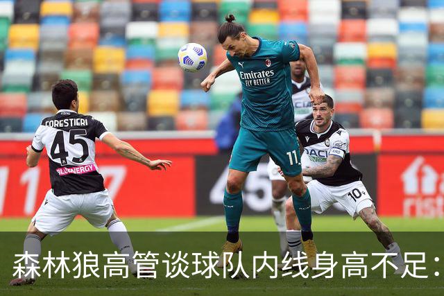 森林狼高管谈球队内线身高不足：这是交易的代价 我们会持续补强