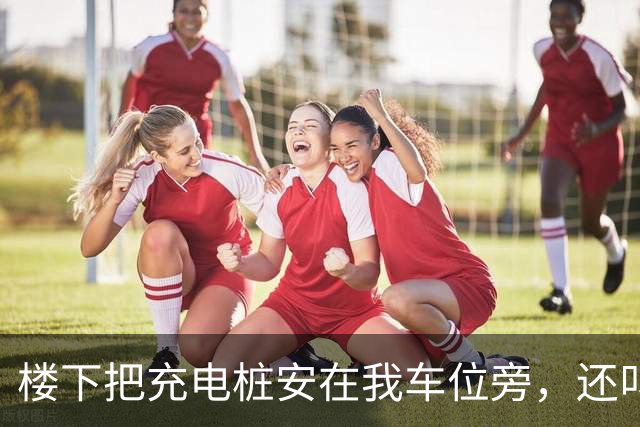 楼下把充电桩安在我车位旁，还叫嚣：有本事你拆啊，我没理他，只在车位牌上贴了张告示，2个月后他哭着求我