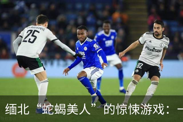 缅北“蛇蝎美人”的惊悚游戏：一场生死逃亡的噩梦